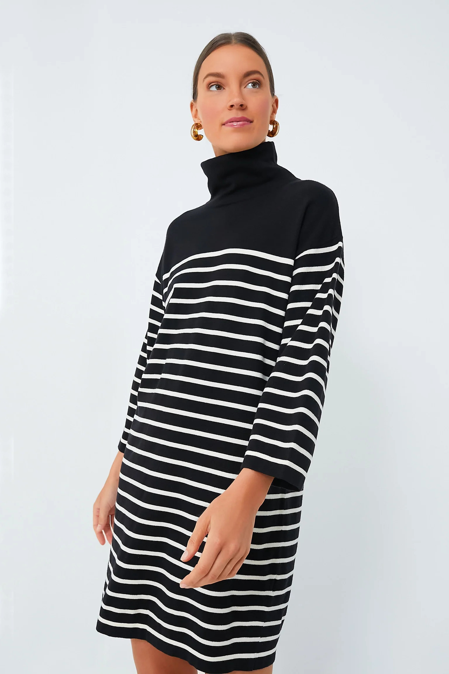 Striped Durand Turtleneck Dress | Tuckernuck (US)