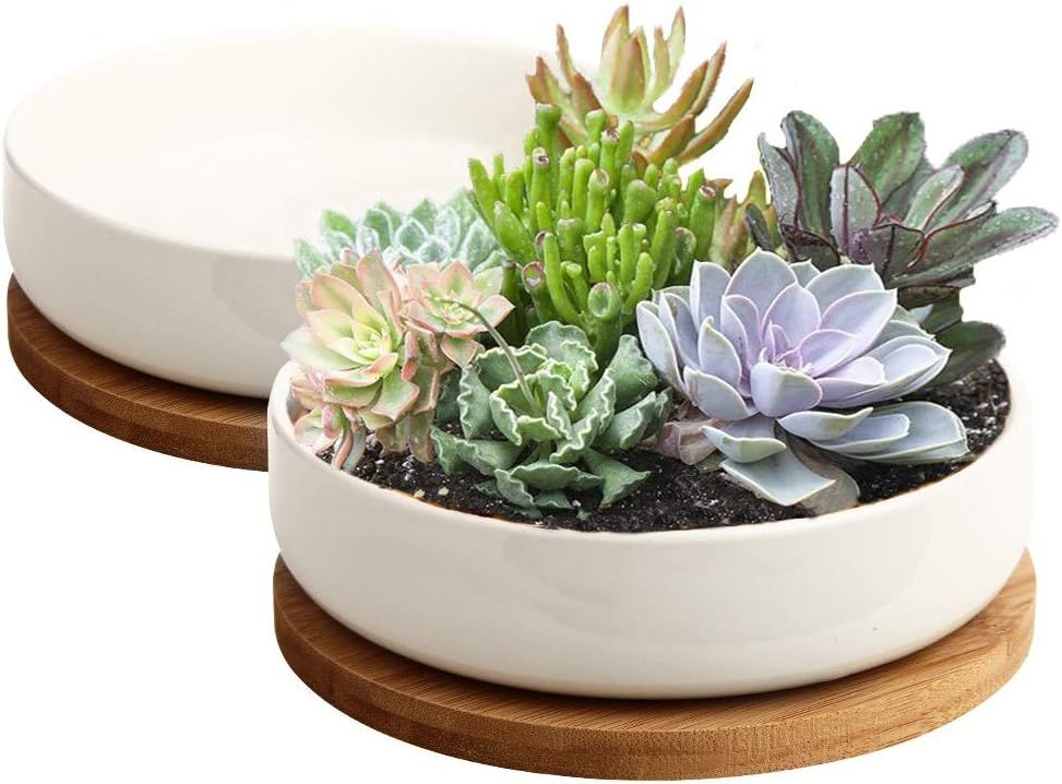 ZOUTOG Succulent Pots, 6 inch White Ceramic Flower Planter Pot with Bamboo Tray, Pack of 2 - Plan... | Amazon (US)