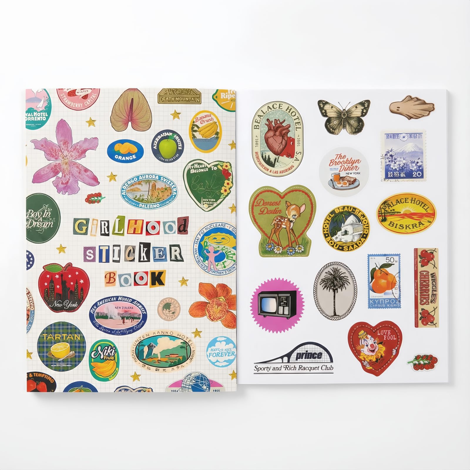 Retro Sticker Book for Girls, Aesthetic Sticker Book with 1260+ Vintage Stickers for Journaling, ... | Amazon (US)