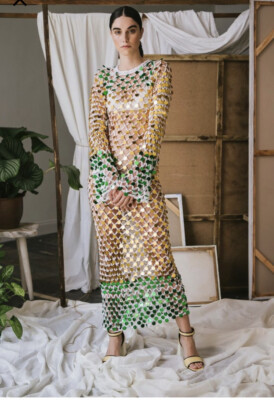 CeliaB Anemona Dress SOLD OUT $337 | eBay | eBay US