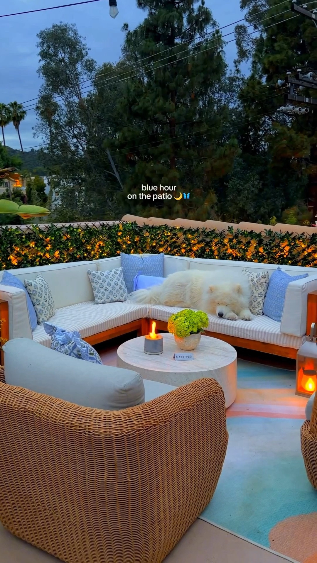 blue hour up on the patio never misses 🌙🦋✨
.
Patio season, patio decor, home decor, cozy home #patioseason #patiodecor

#LTKSeasonal #LTKHome