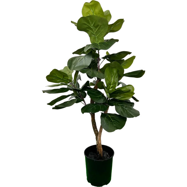 Hand-Made Primrue Artificial Fiddle Leaf Fig Tree | Wayfair North America