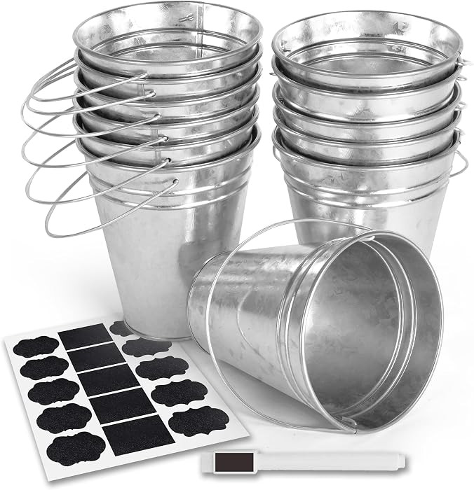 Colorlaza Galvanized Metal Bucket with Handle 12 Pcs- Metal Buckets for Party, Tin Buckets with e... | Amazon (US)