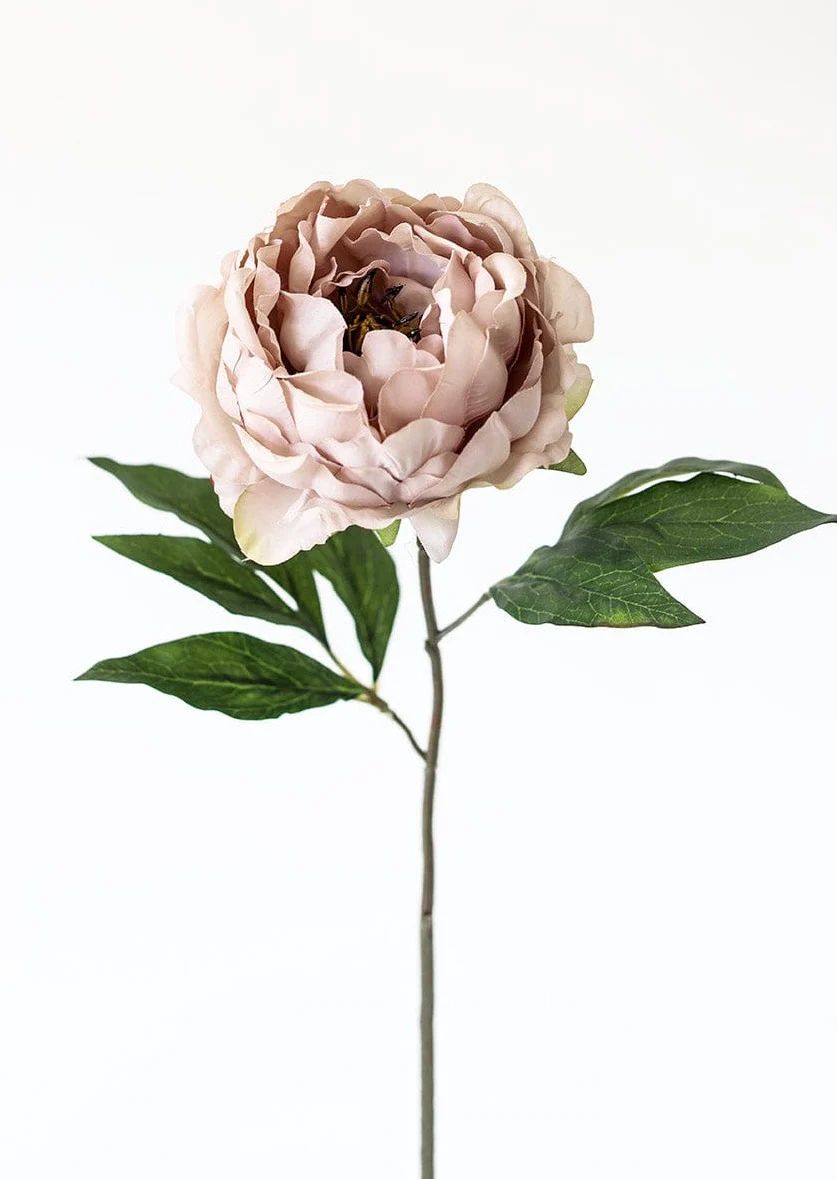 Silk Flower Peony in Taupe Mauve - 18" Tall | Afloral (US)