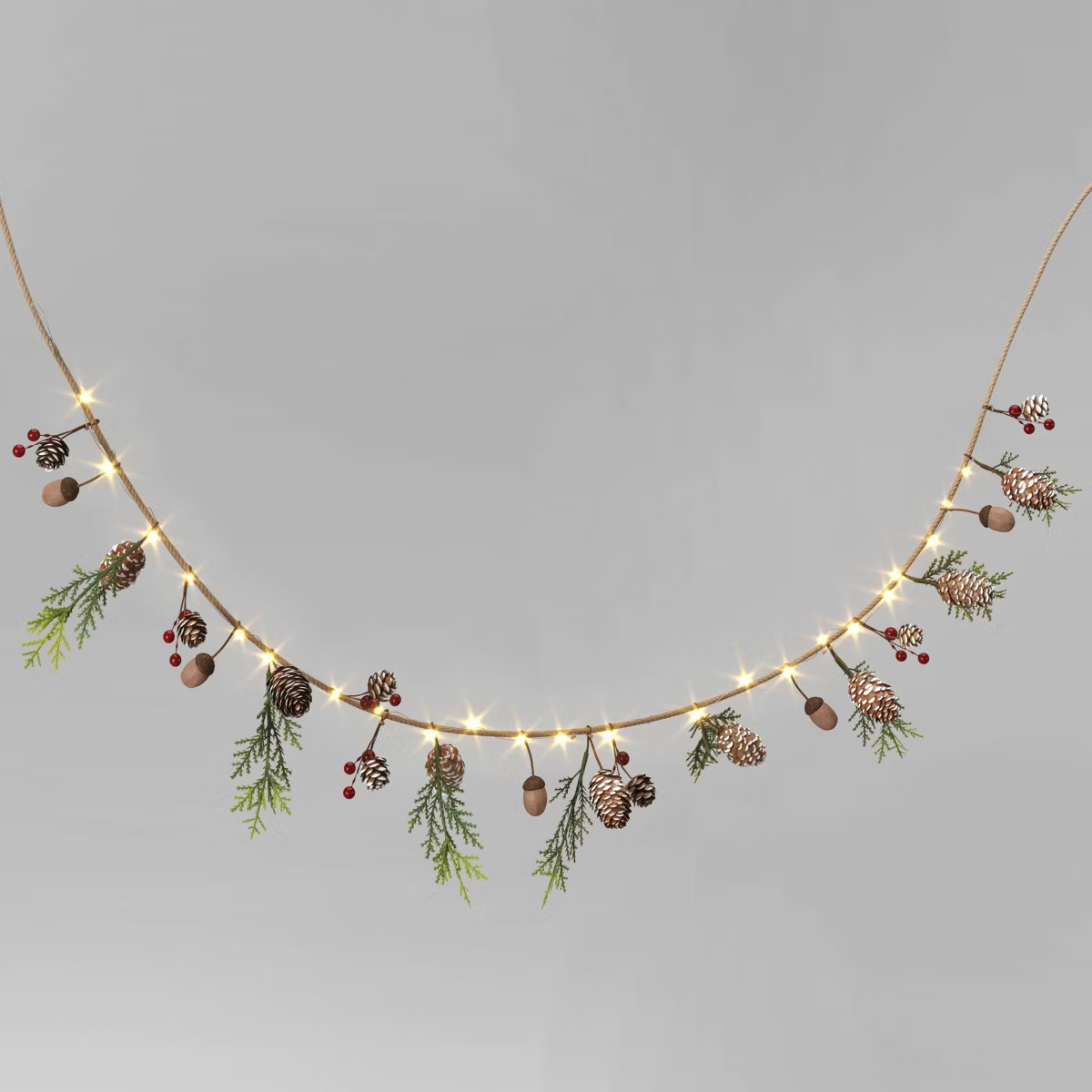 6' Battery Operated Lit Pinecone with Acorns and Berries Decorative Christmas Wall Garland Brown/... | Target
