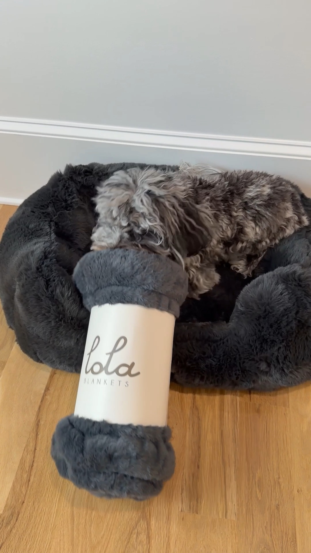 A true testimonial to my dog Enzo’s obsession with little blankets! We own 11 blankets in our home. +5 pet blankets and now a pet bed. We are a Lola family for life.❤️

Everything is 55% off now sitewide! Colors and styles will sell out!! 

#lolablankets #petmusthaves #giftsfordogs #pets

#LTKHome #LTKGiftGuide #LTKHoliday