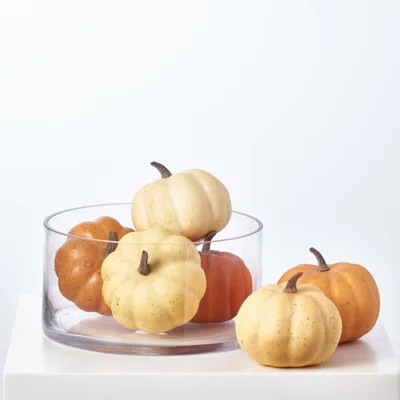 Assorted Ombre Thanksgiving Harvest Pumpkin Set Of 6 | Wayfair North America
