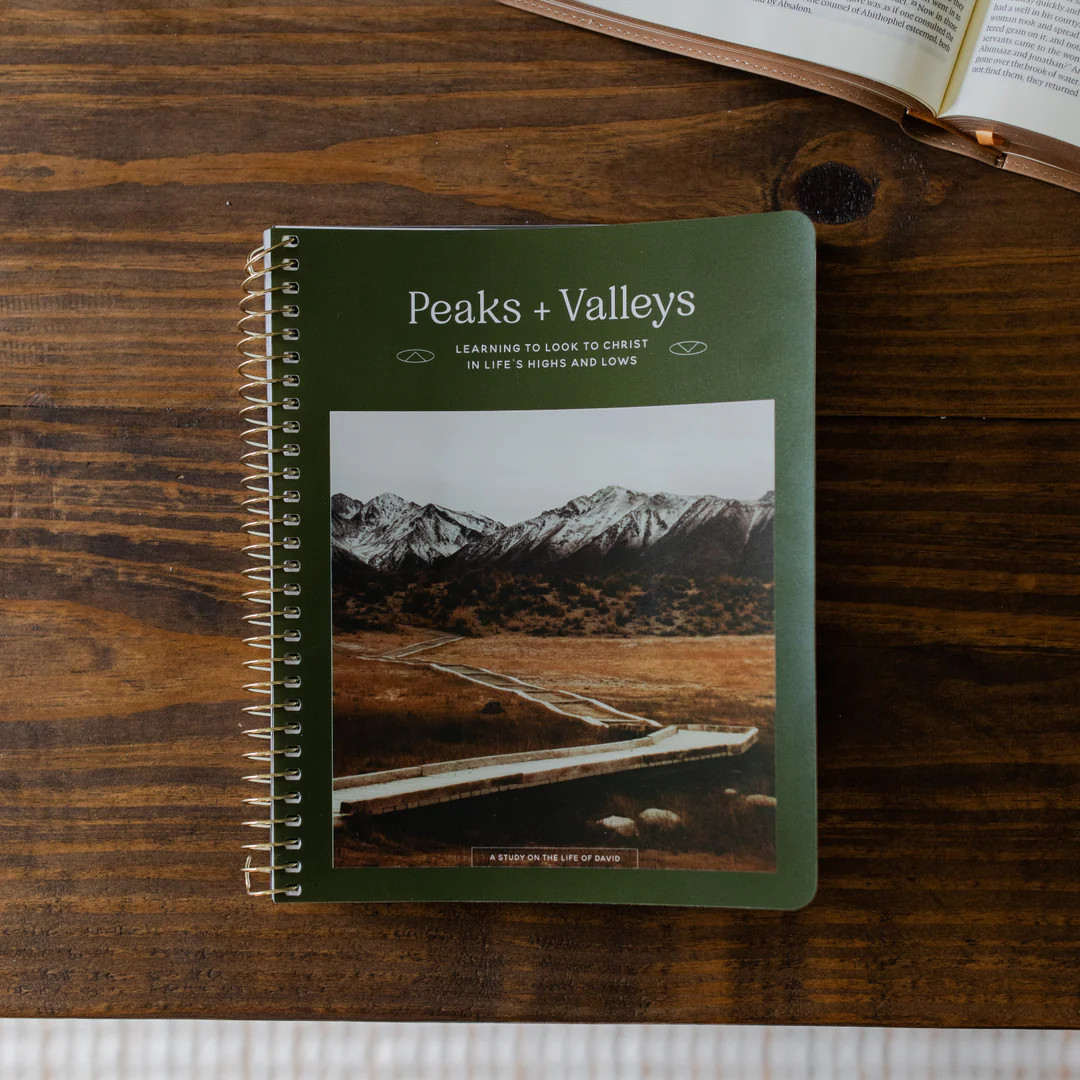 Peaks and Valleys: Learning to Look to Christ in Life's Highs and Lows | A Study on the Life of D... | The Daily Grace Co.