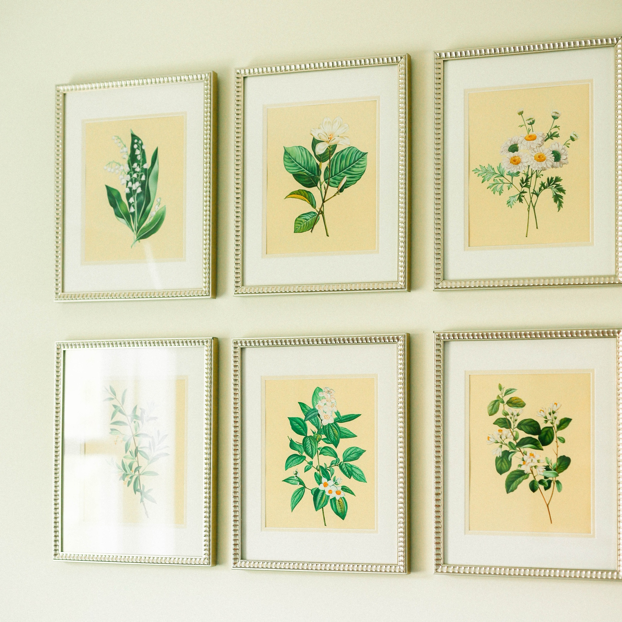 I’m very obsessed with herbarium theme 😅 My art pieces are hand painted but you can get them in prints via Society6. I linked all 6 of them. 

#LTKhome