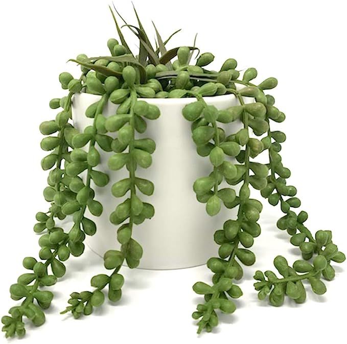 Werandah Artificial Succulent Plants in Pot String of Pearls | Faux Tabletop Greenery | Decor for... | Amazon (US)
