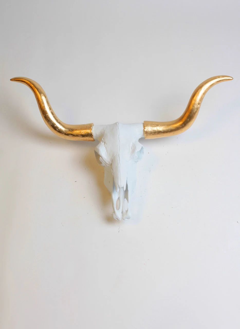 White Cow Skull w/ Gold Longhorn The Savannah  Large White Resin Skull Animal Head by White Faux Taxidermy Faux Animal Head Wall Art | Etsy (US)