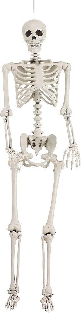 Fun Costumes Life Size Posable Skeleton Figure Halloween Prop 5 Ft Tall - ST | Amazon (US)