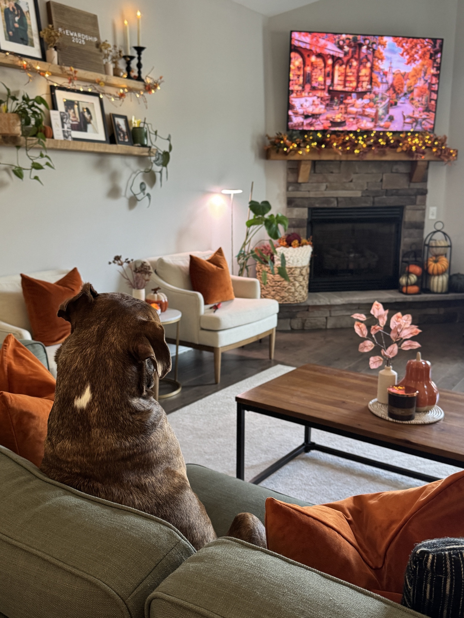 Cozy Fall views in the living room featuring Koda 🐶🤎