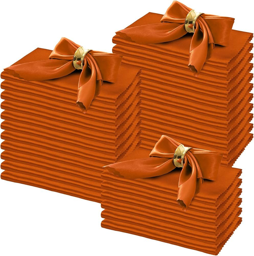 Horbaunal 100 Pack Satin Napkins 17" x 17" Square Dinner Napkins with Elegant Lace, Soft Cloth Na... | Amazon (US)