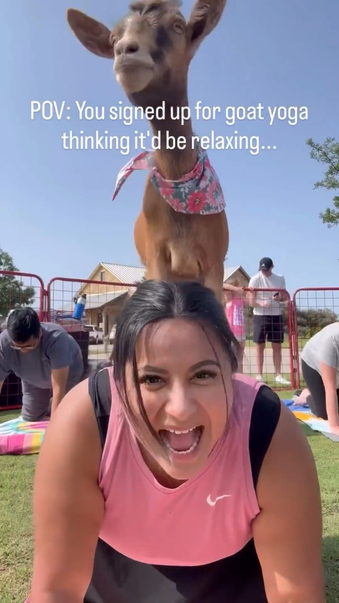 POV: You signed up for goat yoga thinking it’d be relaxing…

Spoiler: it was 0% zen, 100% therapy.

Because sometimes motherhood requires movement, chaos, and a goat nibbling your ponytail to feel something. 😂🐐🧘🏽‍♀️
10/10 would do again. Just not for the yoga part.

#MomLifeUnfiltered #RelatableReels #TiredMomClub #WellnessForMoms #goatyoga #LTKMomStyle #MotherhoodMoments #RealMomRealLife #HotMessAndHealing #MomHumor #ComfyAndCaffeinated #StyleForRealLife #LTKcurves #EverydayStyle #OOTDmom #MomStyleMadeEasy #AmazonFindsForMoms #OutfitsThatFitLife #WornAndLoved #LTKFinds #MomsSupportingMoms #SeenAndHeard #SwipeWorthy #MomsWhoShare #TalkToMeMama #SmallMomentsBigFeels #ThisMadeMyDay #MomApproved 

Want to join next time ?

#LTKFamily