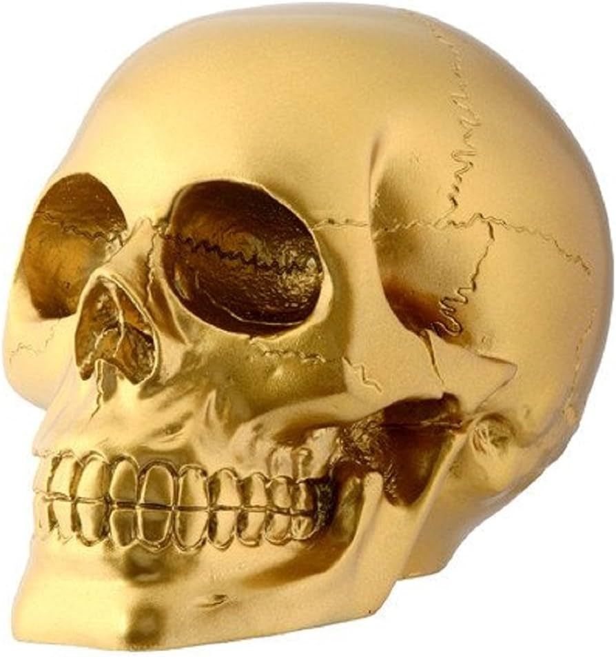 Gold Skull Head Collectible Skeleton Decoration Figurine | Amazon (US)