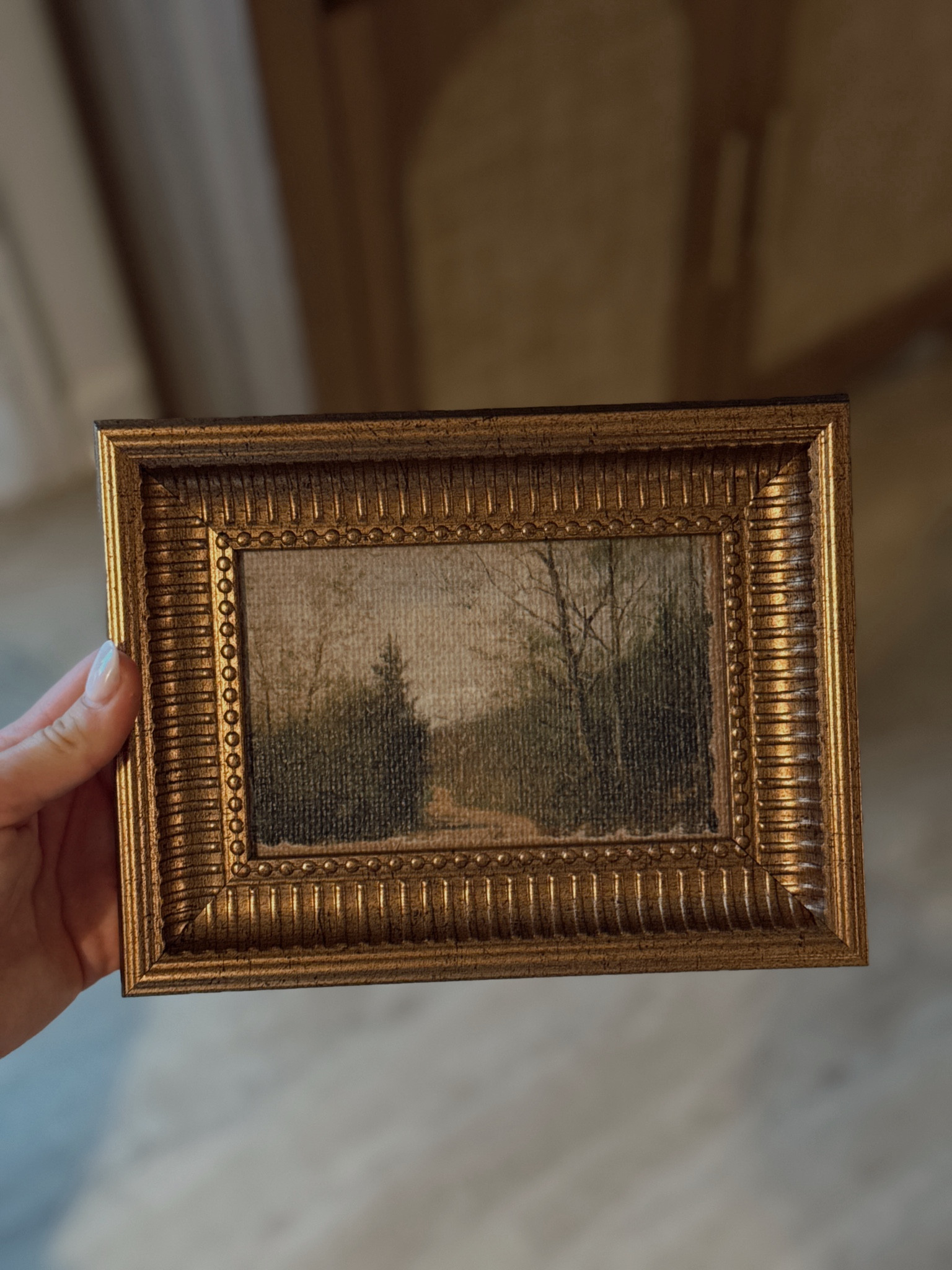 fall decor from Target 🤎🍂 #falldecor #targetdecor #cozyhome #fallfinds #homedecor #targethome 

#LTKHome #LTKFindsUnder100 #LTKSeasonal

#LTKHome #LTKSeasonal