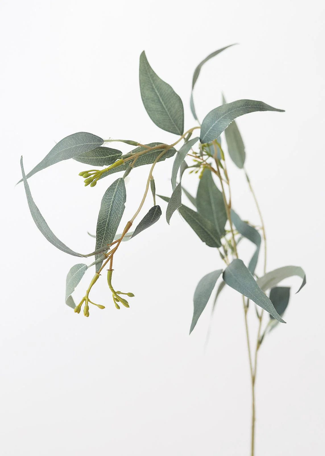 Seeded Eucalyptus Leaf Spray | Faux Wedding Greenery | Afloral.com | Afloral