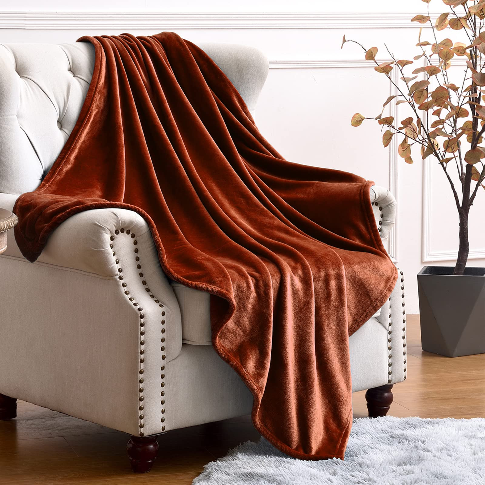 SOCHOW Flannel Fleece Blanket Throw Size, All Season 300GSM Super Soft Cozy Blanket for Bed or Couch | Amazon (US)