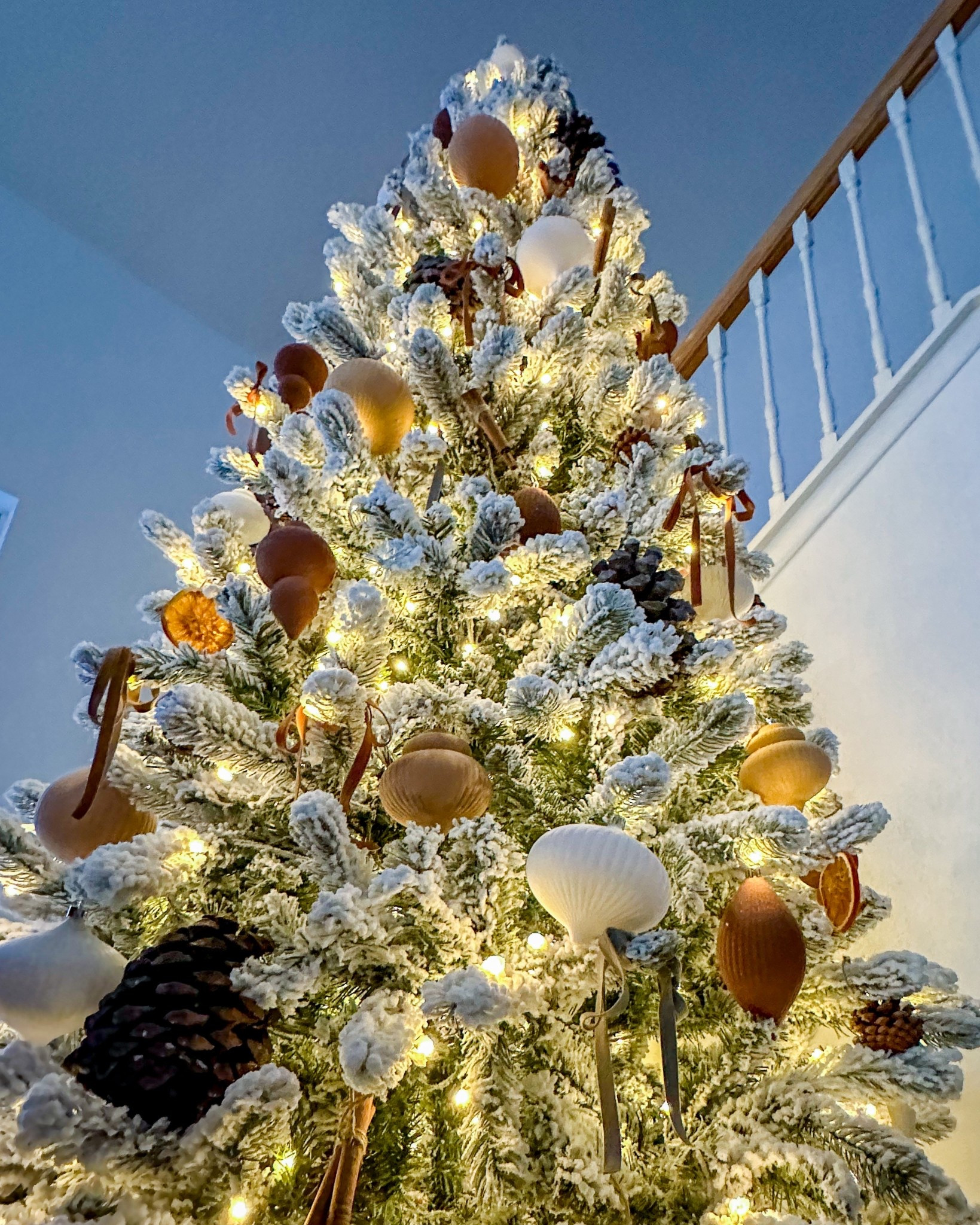 Christmas tree details / boho Christmas tree / velvet ornaments / bow ties Christmas tree 

#LTKHoliday #LTKGiftGuide #LTKSeasonal

#LTKHome #LTKFindsUnder100 #LTKHoliday