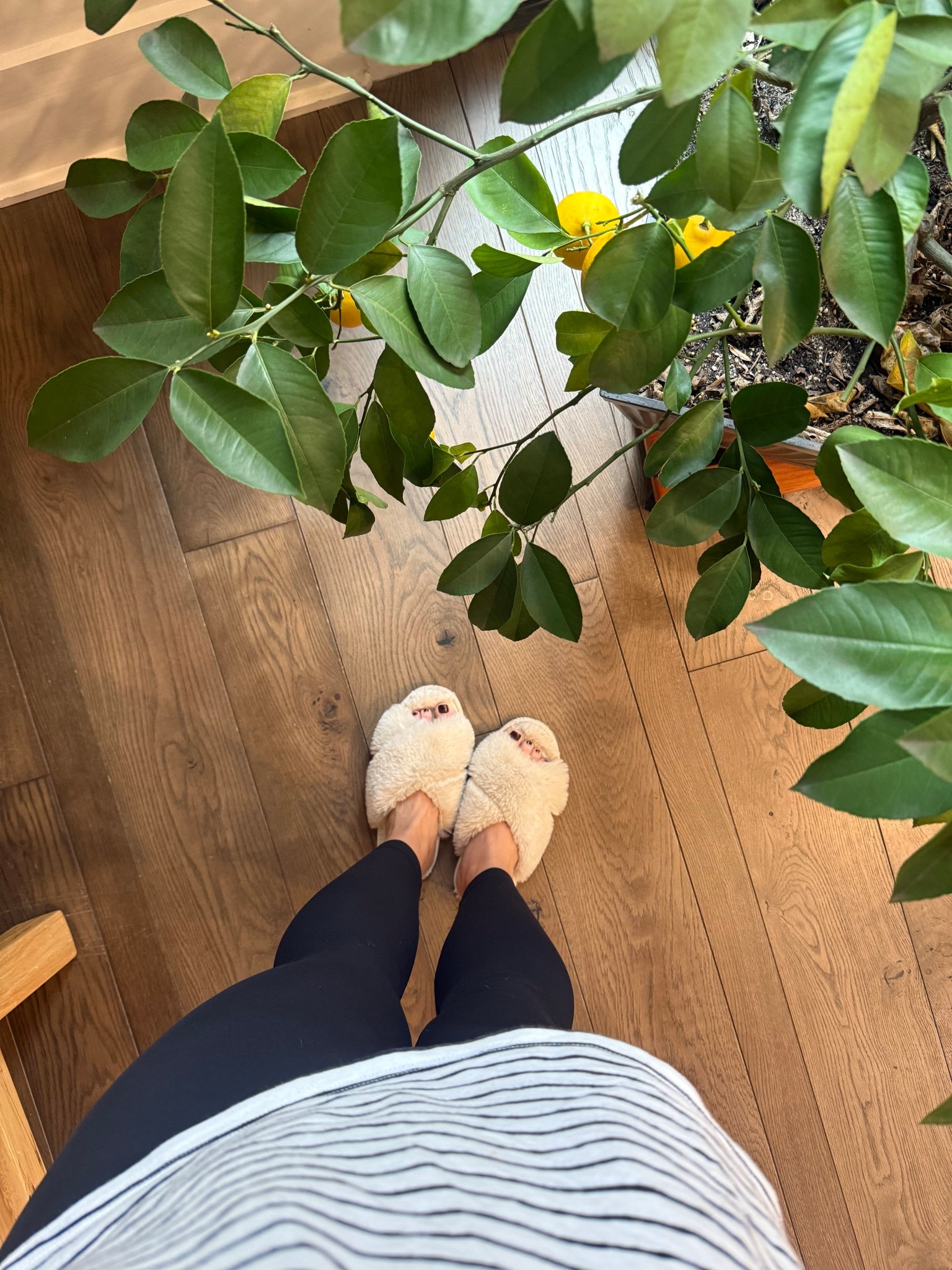 Casual morning outfit 🍋