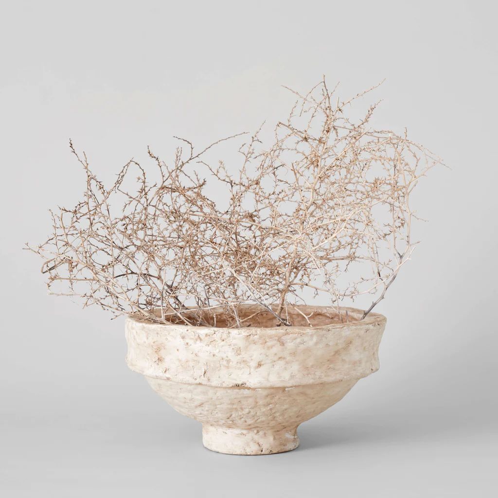 Paper Mache Bowl | Bloomist