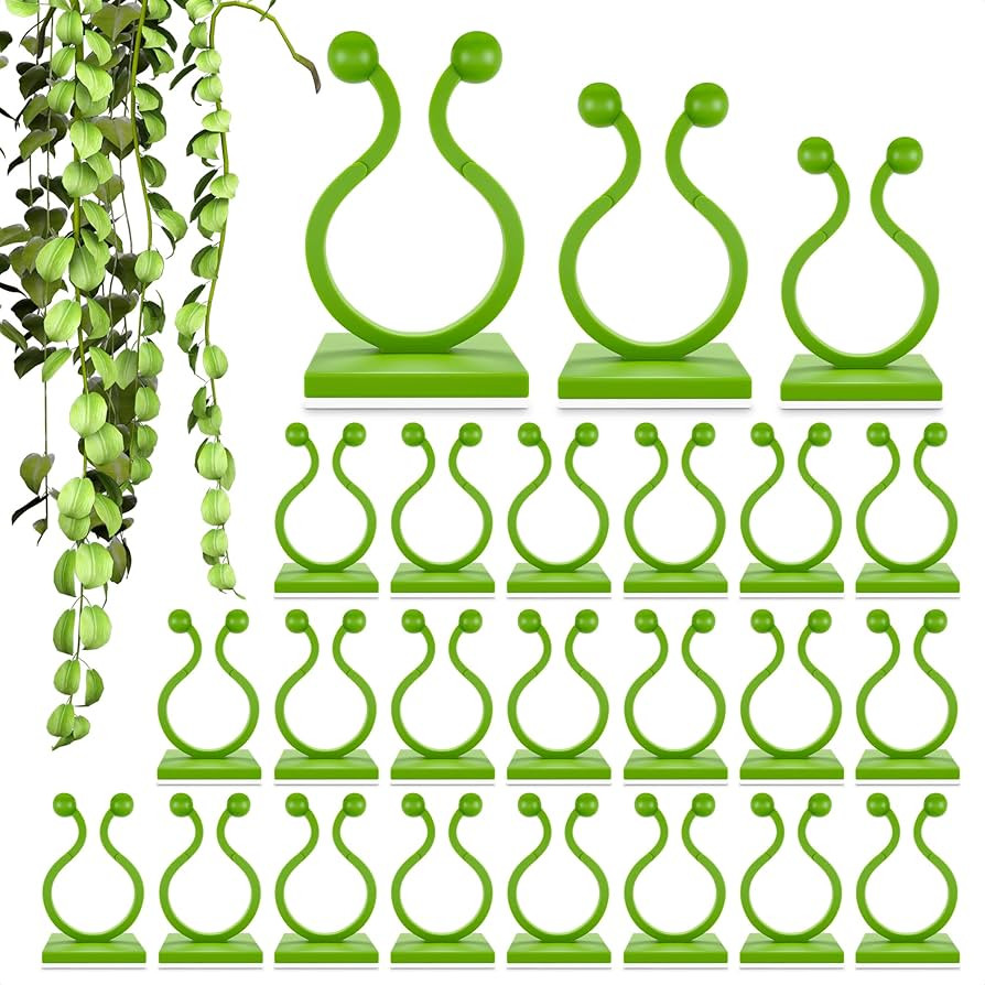 Plant Clips for Climbing Plants - 110Pcs 3 Sizes Plant Wall Clips Pothos Plant Climber Support Pl... | Amazon (US)
