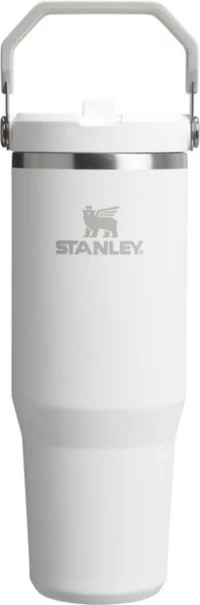 Stanley 30 oz. IceFlow 2.0 Flip Straw Tumbler | DICK'S Sporting Goods