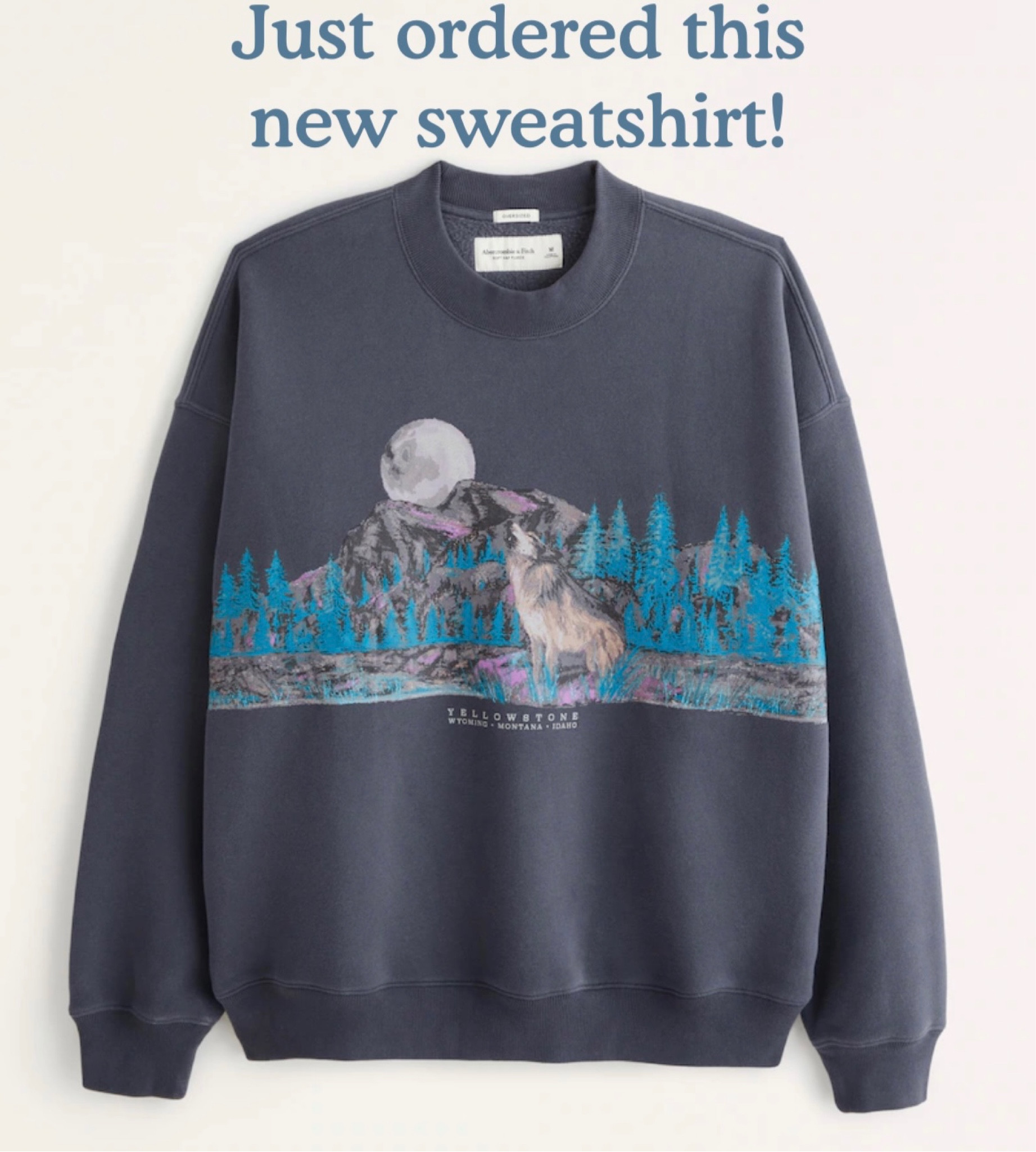 New Abercrombie oversized sweatshirts! I get size XL for an extra oversized fit. They are so soft and comfy and quality made! 🤍

#LTKSeasonal #LTKHoliday #LTKGiftGuide