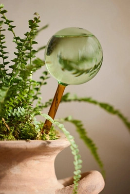 We the Wild Glass Watering Globes, Set of 2 | Anthropologie (US)