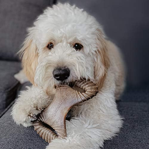 Benebone Dental Dog Chew Toy for Aggressive Chewers, Long Lasting, Made in USA | Amazon (US)