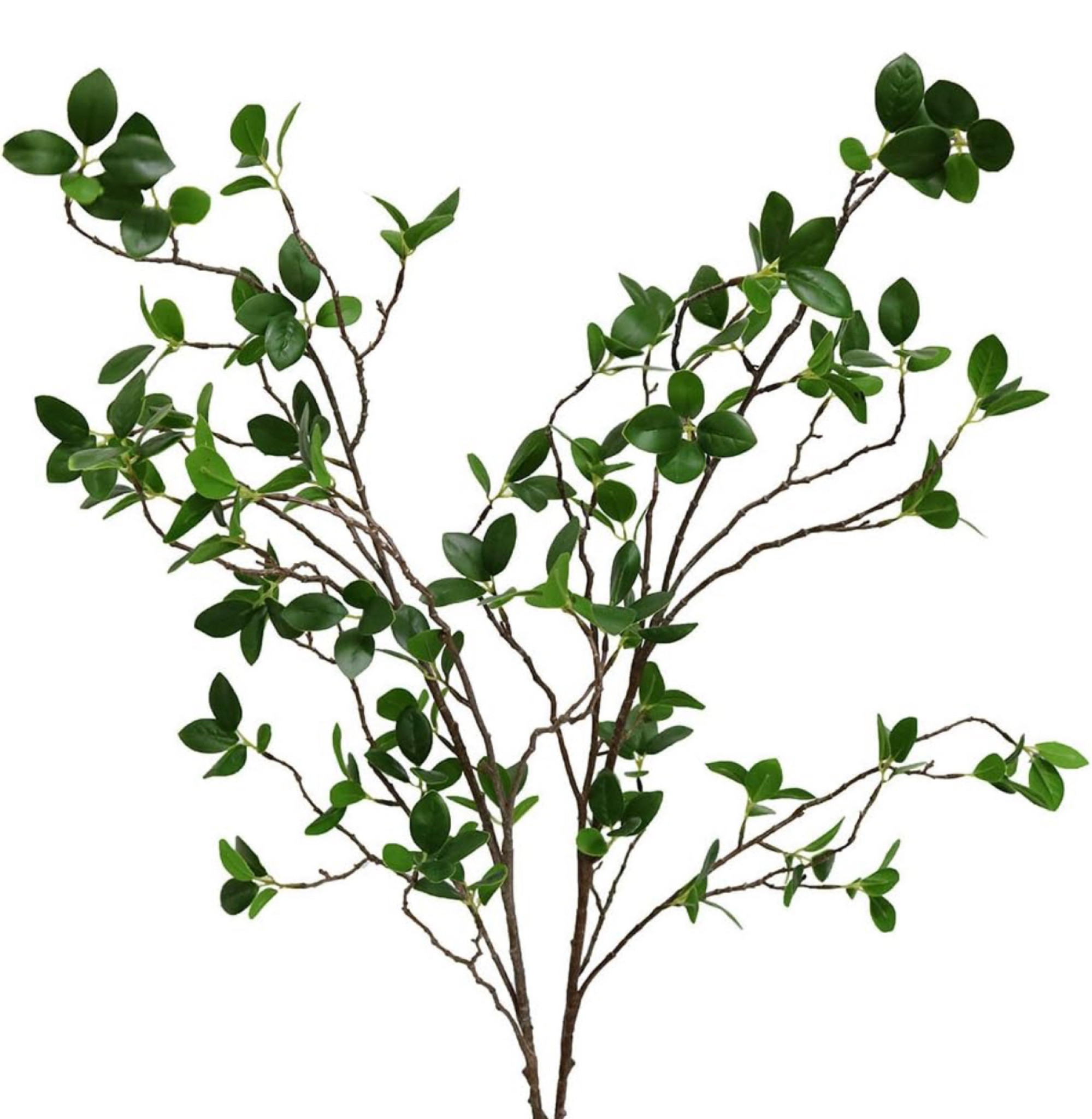 Htmeing Artificial Eucalytus Green Branches Faux Ficus Twig Home Office Shop Decoration (2PCS)

#LTKSeasonal #LTKU #LTKSpringSale