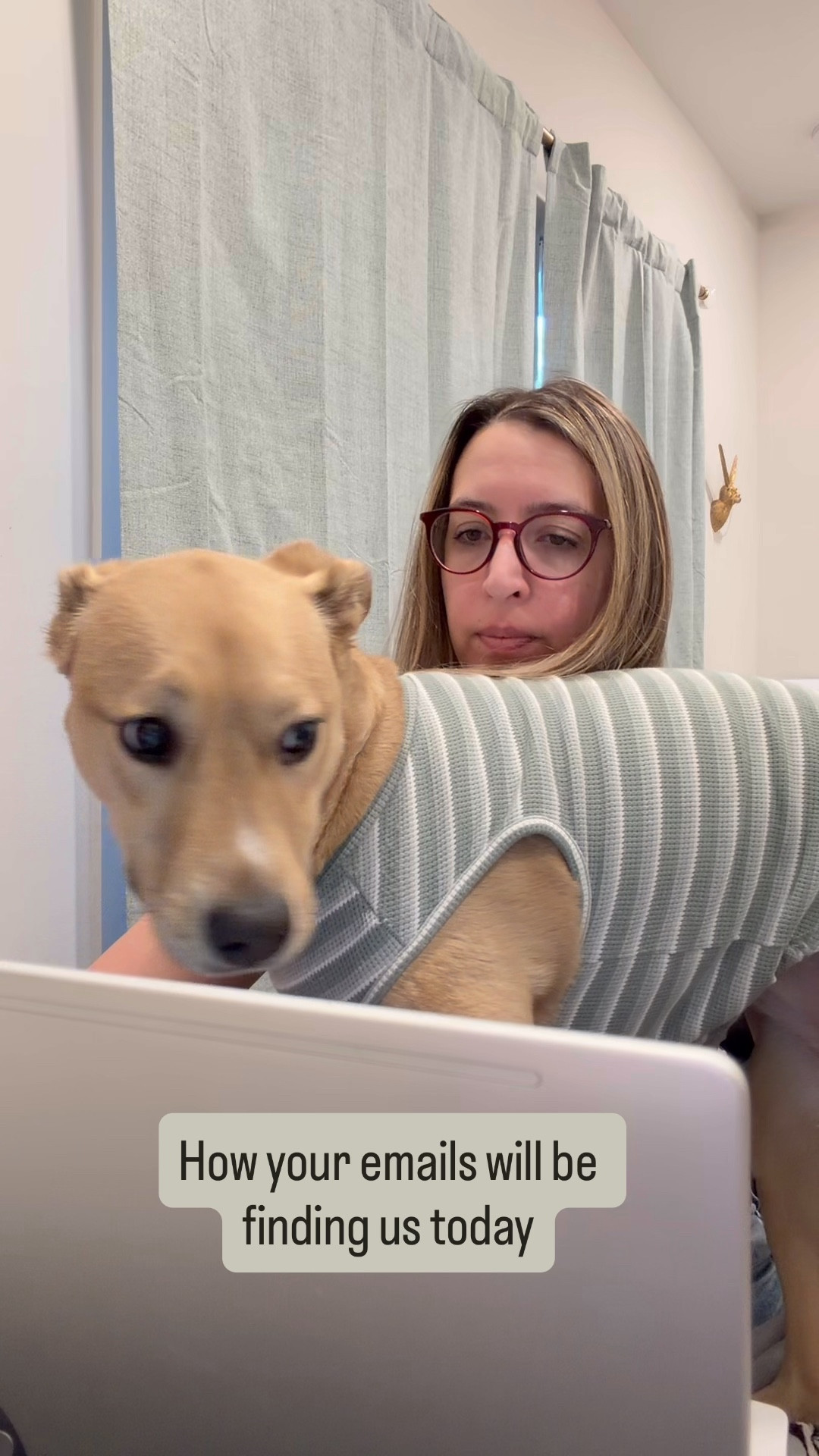 WFH but make it ✨coordinated✨ apparently

moved the curtains into the office… and somehow Navi said “yes I’ll be matching that” and made herself the main character on my lap

not sure what I’m working on anymore but she’s thriving

cozy dog mom moment, striped pup outfit, work from home life, home office vibes, matching aesthetic 🐾

#LTKdayinmylife #LTKmorningroutine #LTKstorytime