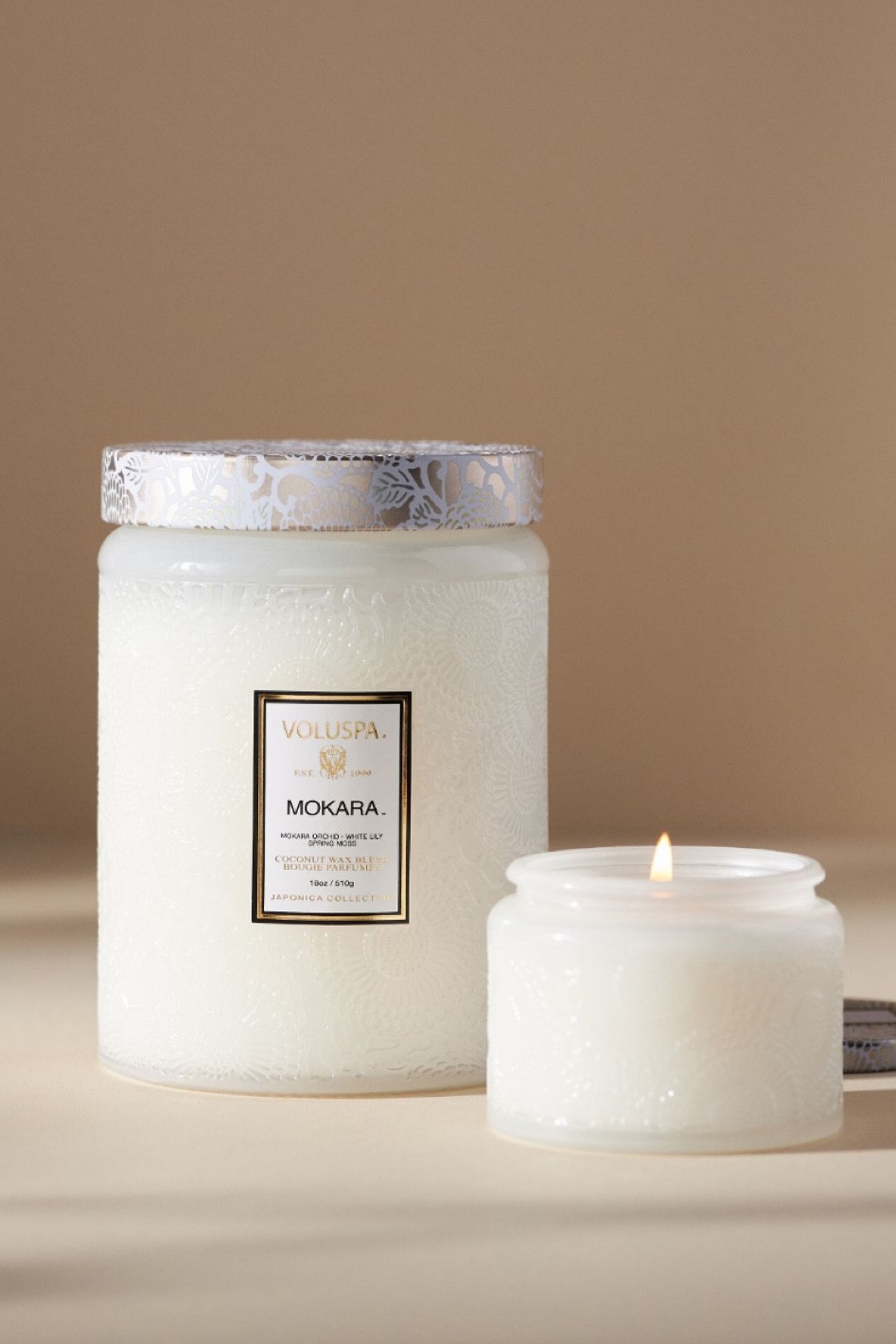 Anthro candle best seller #candle #spring #summer #candle #anthropologie #fragrance #anthro

#LTKfind 
#LTKunder100 
#LTKunder50
#LTKbeauty
#LTKhome
#LTKstyletip 
#LTKsalealert
#LTKwedding 
#LTKmidsize 

#LTKSpringSale #LTKsalealert #LTKSeasonal