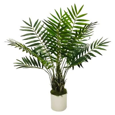 Modern Tropical Desktop Palm Plant in Pot | Wayfair North America