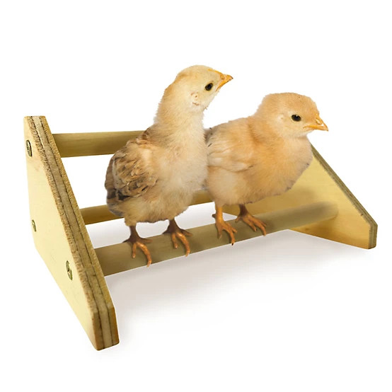 Backyard Barnyard  Chick Perch Mini Roosting Bar | Tractor Supply