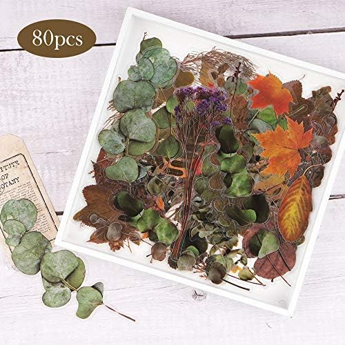 Flower and Leaves Stickers Set, NOGAMOGA 4 Packs PET Transparent Decorative Flowers and Plant Ser... | Amazon (US)