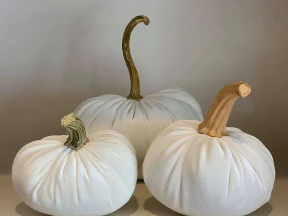 Velvet Pumpkin Ivory, Velvet Pumpkin with Real Stem, Fall Decor | Etsy (US)