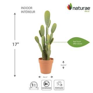 Artificial 21 in. Bunny Ears Cactus Plants in Terracotta Pot | The Home Depot