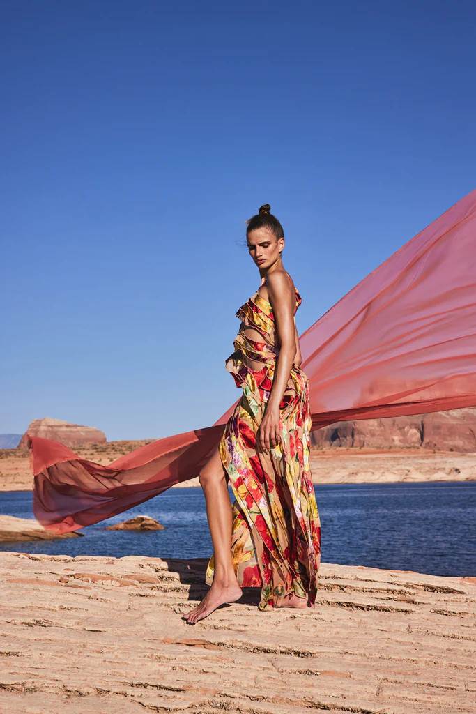 WHITNEY GOWN - PAINTED FLORAL | Cult Gaia - US