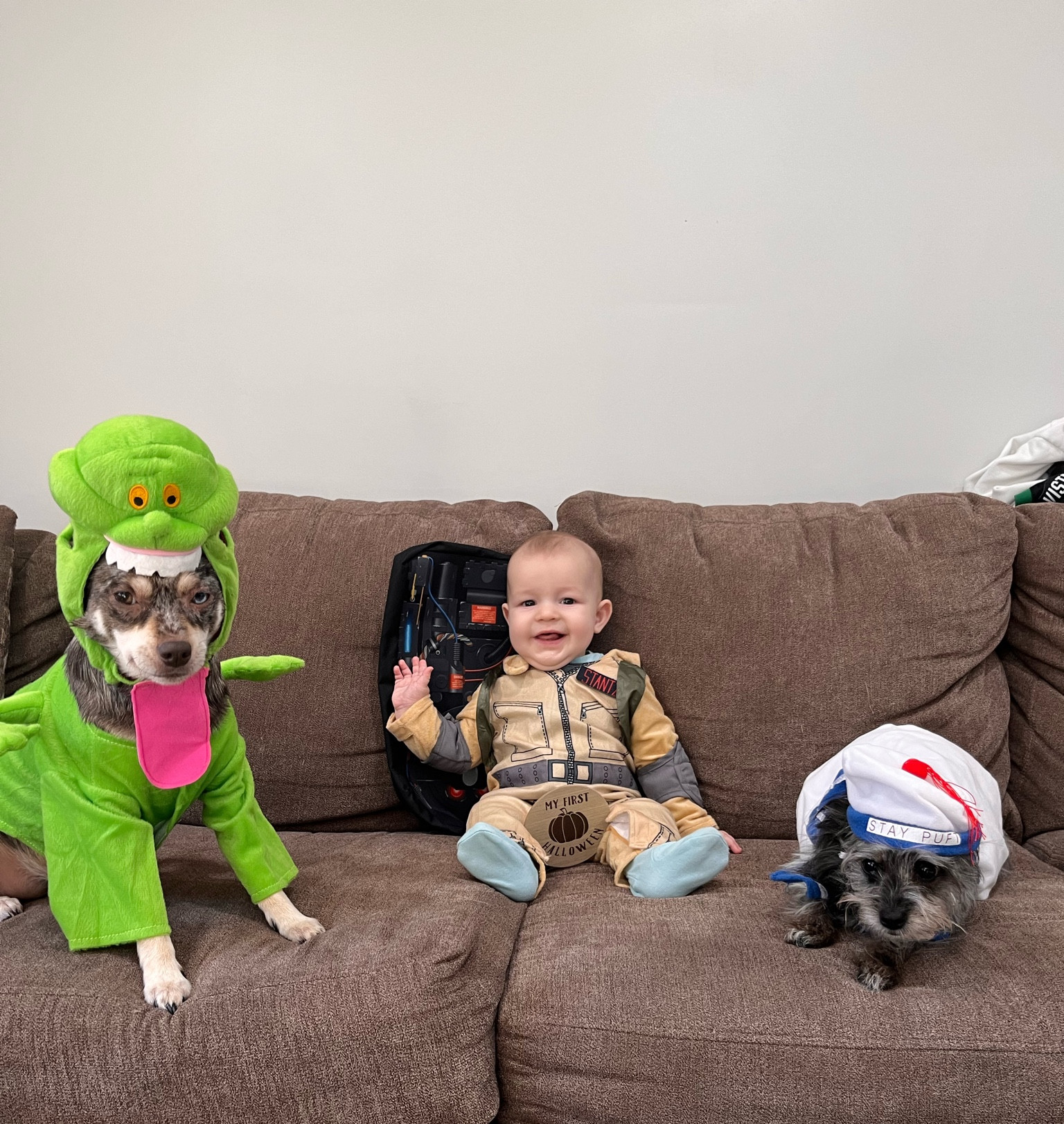 Who you gonna call?? Ghostbusters!!! 
#halloween
#costumes

#LTKFamily #LTKBaby #LTKFindsUnder50