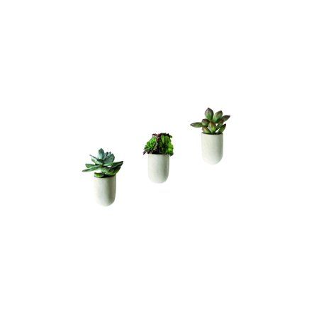 Gift Republic Magnetic Planters - Set of 3 Concrete Mini Pots for Succulents - 2 3/8"" Each | Walmart (US)