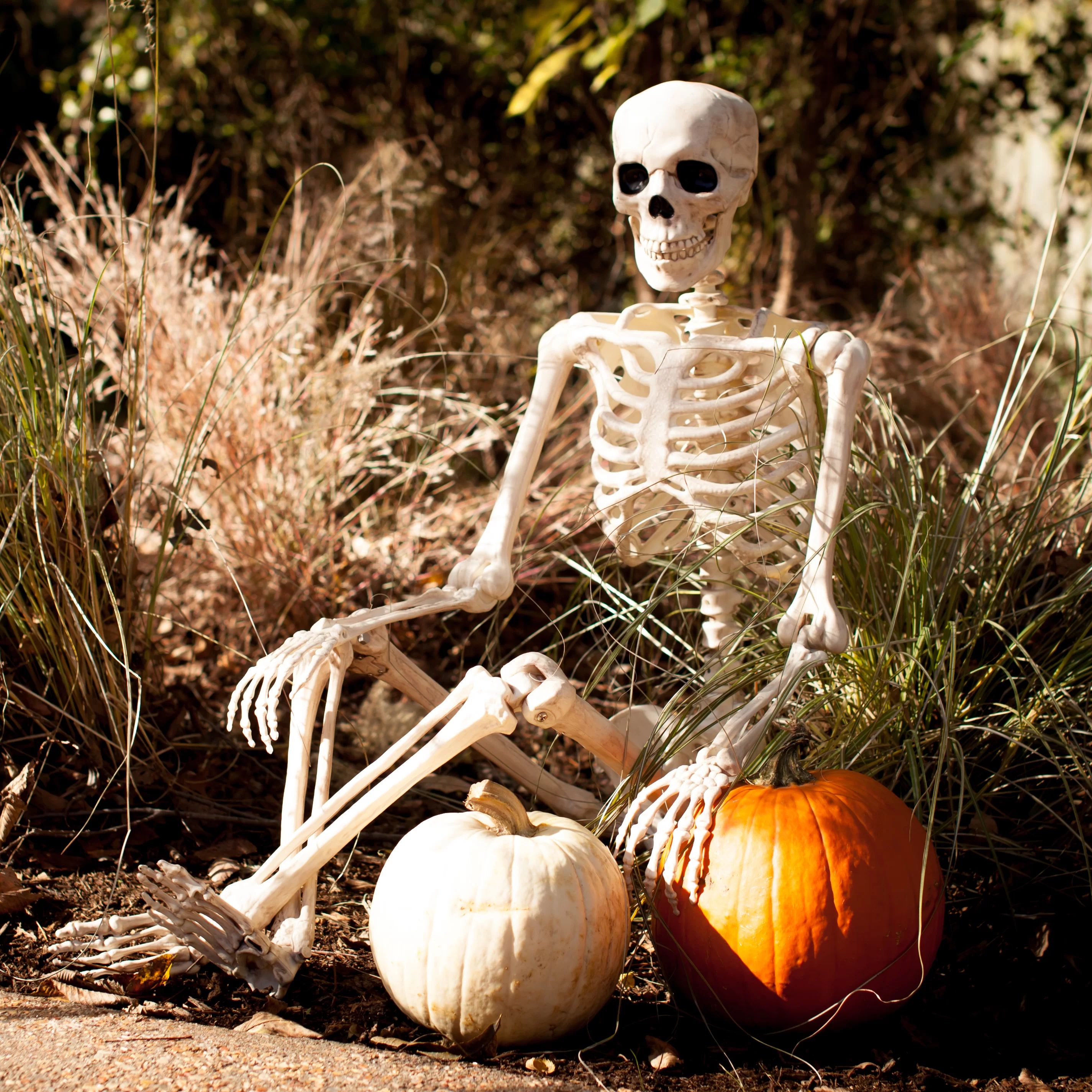 Pose-N-Stay Skeleton | Wayfair North America