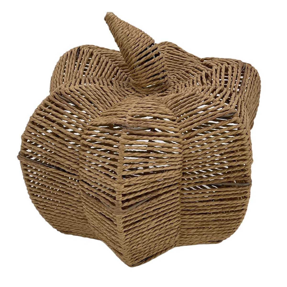 Thanksgiving Decorative Accent | Wayfair North America