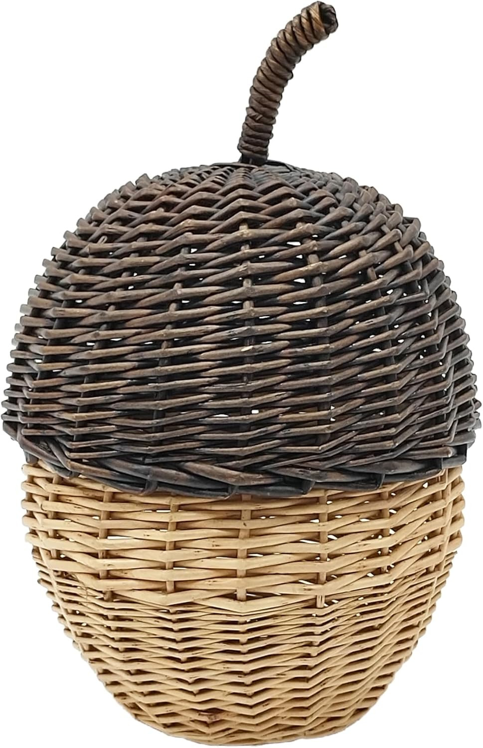 Ashland 11" Willow Acorn Tabletop Décor | Amazon (US)