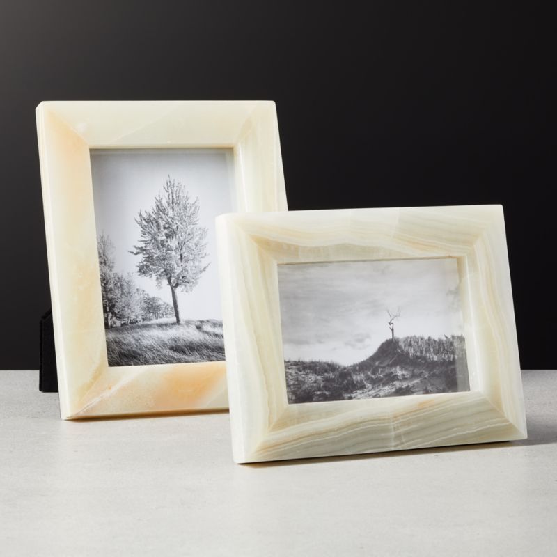 Onyx Picture Frames | CB2 | CB2