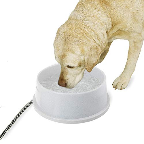 Heated Water Bowl | Amazon (US)