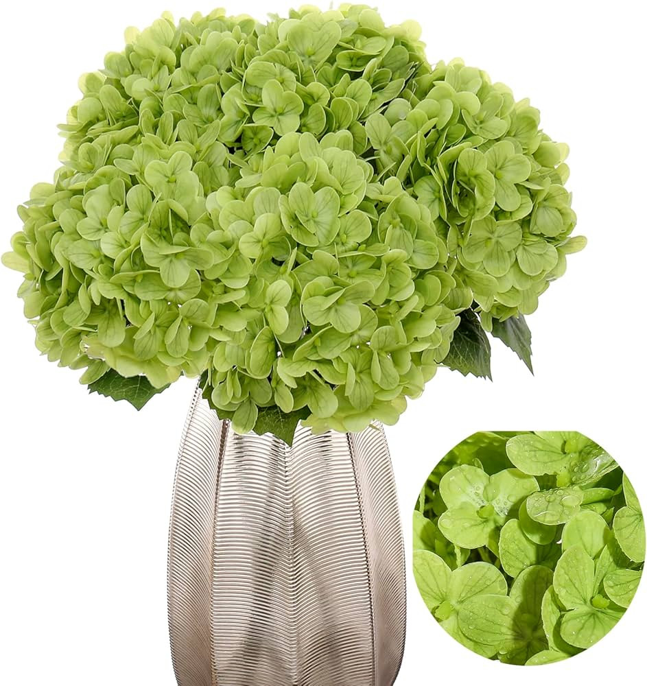 Kimura's Cabin 5pcs 21" Real Touch Hydrangeas Fake Green Flowers Full Latex Artificial Hydrangea ... | Amazon (US)