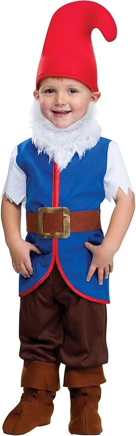 Toddler Gnome Boy Costume | Amazon (US)