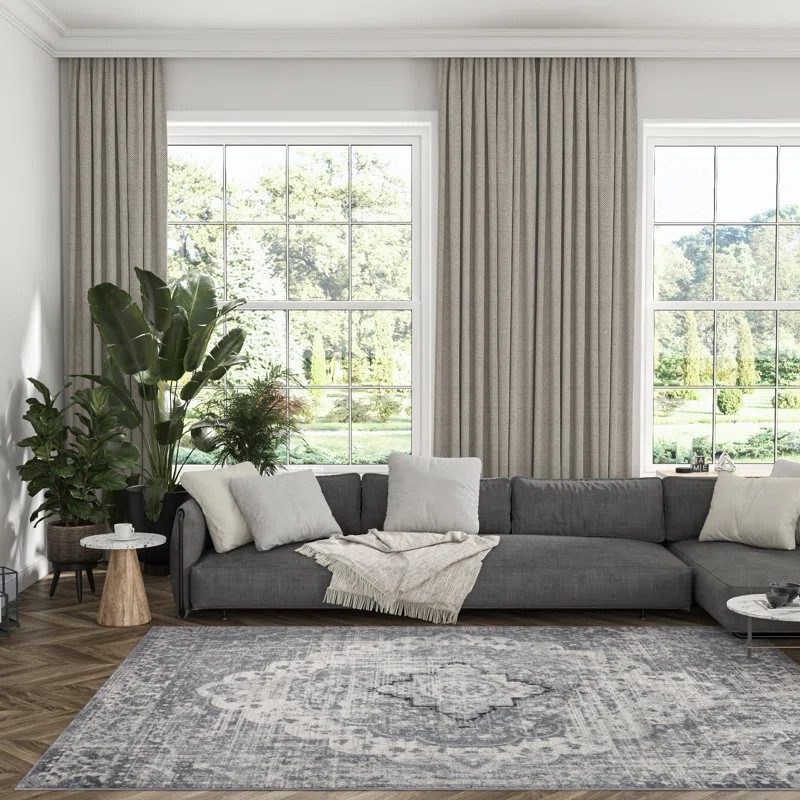 Eli Esmay Performance Gray Medallion Rug | Wayfair North America